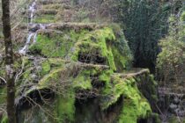 Tufière de Rolampont - Camping de la Liez