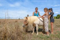 - 200 Camping Haute Marne La Liez Ciela Village Poney .See - Campingplatz de la Liez